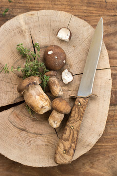 Fresh porcini mushrooms