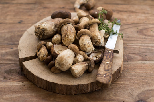 Fresh porcini mushrooms