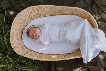 Swaddled Newborn Baby in Basket