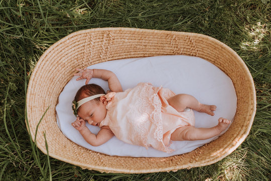 Adorable Baby in Basket Outdoors