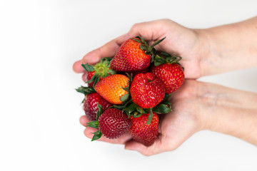 Strawberry in hand on a white background isolate. Juicy Red Strawberry