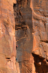 Rock climbers, Zion National Park