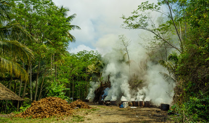 Fototapeta na wymiar Local farmers burning loads of dried coconut shells in barrels. Massive smoke and haze in tropical forest near Pangandaran, west Java, Indonesia. CO2 issue problem forest fires haze not aware warn