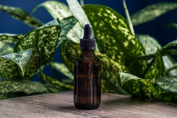CBD Oil Tinctures