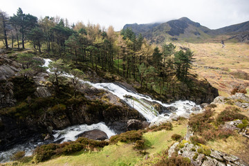 Fast flowing, white foaming river, tumbling over boulders, with pine trees and rugged mountains in the distance