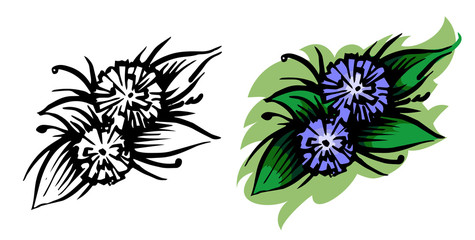 Beautiful blue flower. Isolated vector. Two set options: monochrome black and white sketch and full-color illustration. Herbaceous plant. View from above. White background. Decorative element.