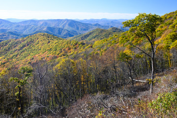 Autumn in the Appalachian Mountains Viewed Along the Blue Ridge Parkway