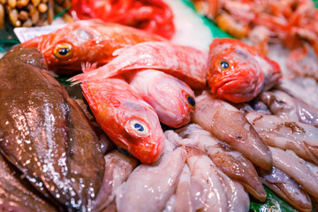 Obraz na płótnie Canvas Fresh colorful fishes on ice in the fishmarket in Barcelona