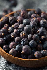 Raw Purple Organic Juniper Berries