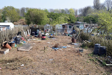 Old Deserted Allotment with Greenhouses Sheds & Discarded Items with Trees in Background 