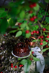 Chocolate Cherry Cheesecake Bundt Cake..style rustic