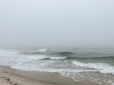 A foggy dawn at the beach with silhouettes of surfers on the waves and on the sandy shore