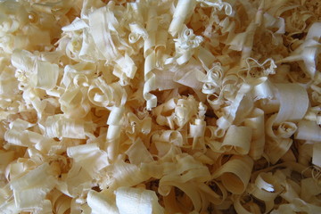 Wood shavings left from planing a pine board.