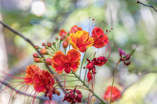 Like a pinter with its brush, Nature is the best painter ever
