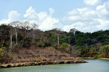 Landscape of Panama Canal, view from the transiting cargo ship.