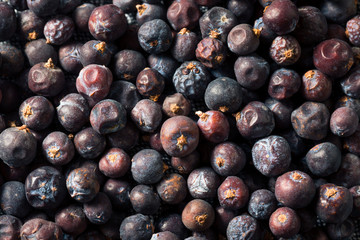 Raw Purple Organic Juniper Berries