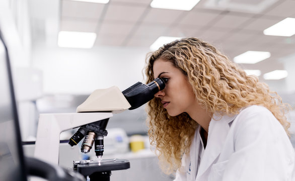 Biologist working in a laboratory