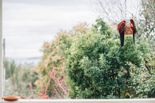 Rosella's on Verandah