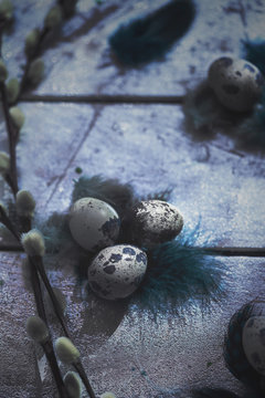Queil eggs