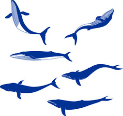 A set of images of whales. Whales swim and jump out of the water. Vector stylized graphic isolated monochrome images.