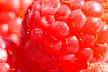 Himbeeren in close up Foto