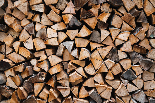 Log