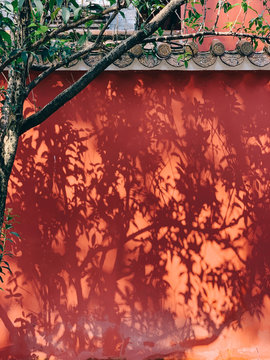 shadow of trees on ancient Chinese architecture