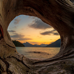 Nature tree frame of the sunset. View through the tree hole at the sunset.