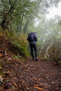 Hiker heading down misty California path on hillside
