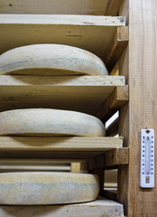 Obraz na płótnie Canvas Shelves of aging Cheese at maturing cellar Franche Comte creamery