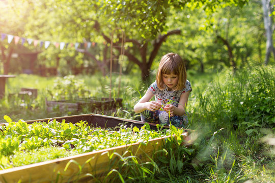 Cute little girl enjoy gardening in urban community garden