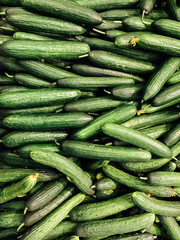lots of delicious ripe green cucumbers for healthy food background