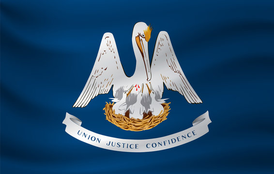 Waving flag of Louisiana. Vector illustration