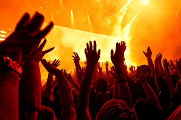 crowd of people at rock concert