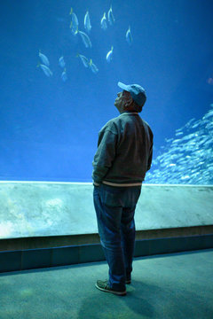 Vertical image of man standing near large fish tank at aquarium