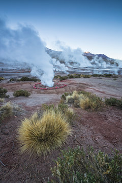 environment geysers of "El Tatio" at sunrise