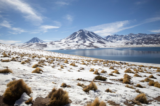 Lagunas Altipl&middot;nicas in Atacama desert