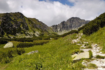 Naklejka premium Furkotska dolina. Tourist trail. High Tatras. Slovakia. Mountain ridge view. Summer. July.