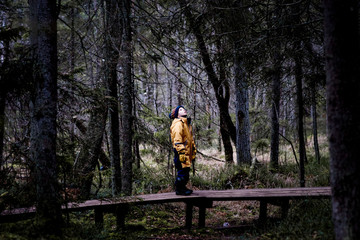 young boy standing on a boardwalk in the middle of a forest looking up