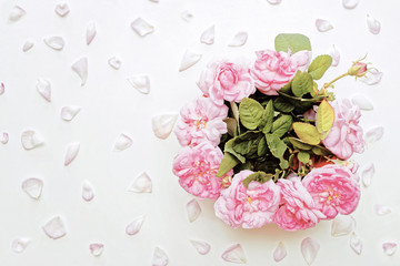 Bouquet of Pink tea roses and rose petals on background