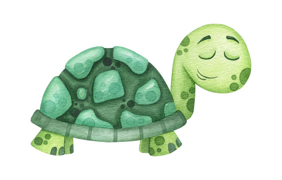 Cute Sea green turtle isolated on white Watercolor Illustration