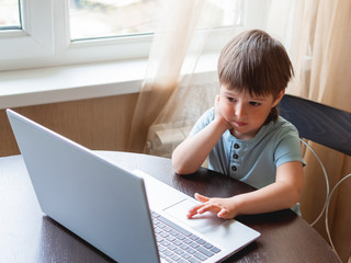 Curious toddler boy explores the laptop and presses buttons on computer keyboard. Online education for babies.