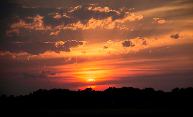 Sunset over the field