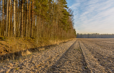 Plowed field on the edge of the forest. Agricultural land.