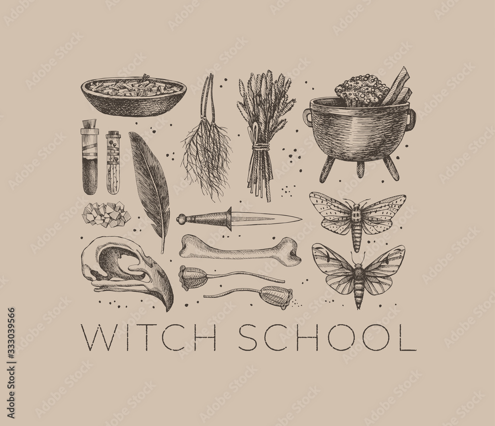Poster Monochrome set of mystical items for witchcraft. Elements of witch or wizard set: bird skull, test tubes with a potion, bone, herbs, dried insects, bowler, knife. Magic illustration. Pagan traditions.