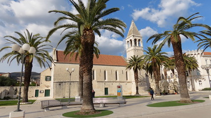 Fototapeta na wymiar Church behind palm tree in Trogir Croatia