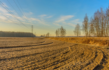 Plowed field on the edge of the forest. Agricultural land.