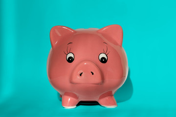 Pink Piggy Bank Complementary Contrast