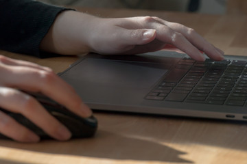 Woman Working On Laptop, Hands Only