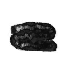 Wet ink geometric shape. Brush paint strokes. Texture brushes and modern grunge brush lines. Ink brush artistic design element for frame design. Isolated element.